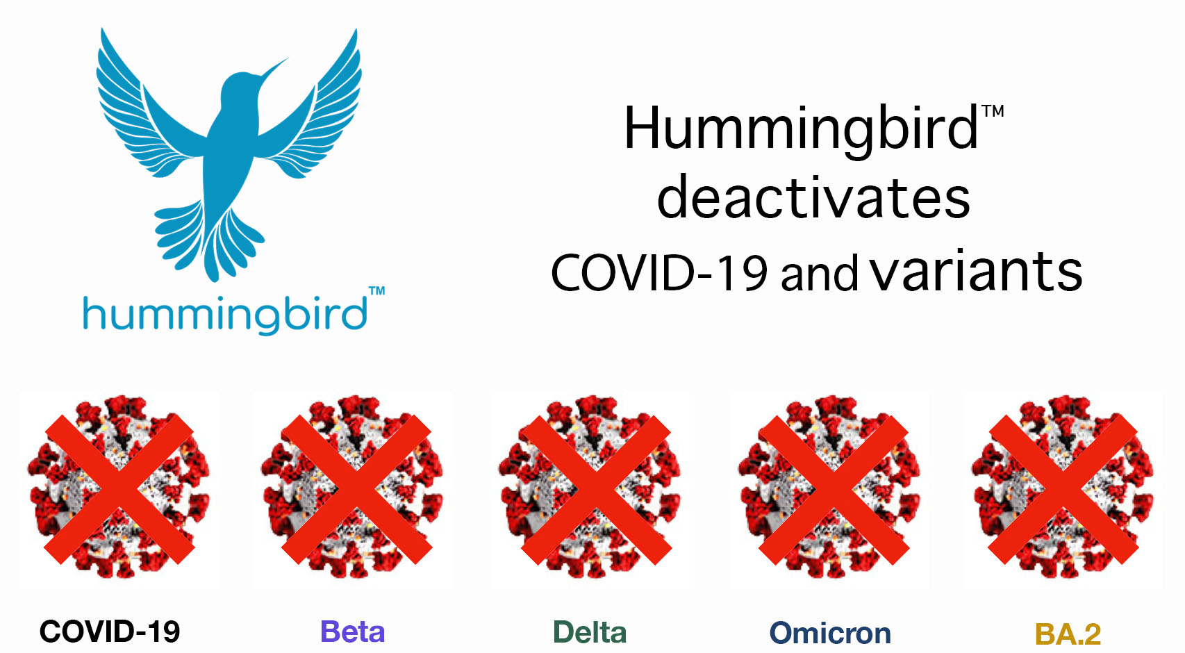 Hummingbird Air Purification, Indoor Air Quality & Management System with air vaccine deactivates Covid-19, Delta & Omicron Variants